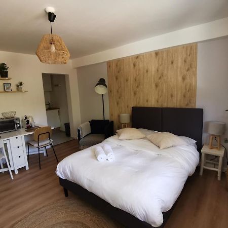 Marnesia - Studio Avec Vue Sur Les Quais Strasbourg Exterior photo
